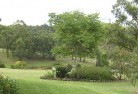 Redcliffe QLDresidential-landscaping-40.jpg; ?>