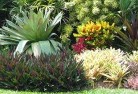 Redcliffe QLDresidential-landscaping-58.jpg; ?>